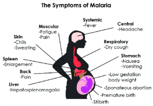 Symptoms Of Malaria During Pregnancy