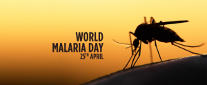 World's Malaria Day