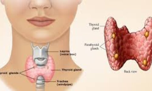 14 Ways to Reclaim Your Thyroid Health